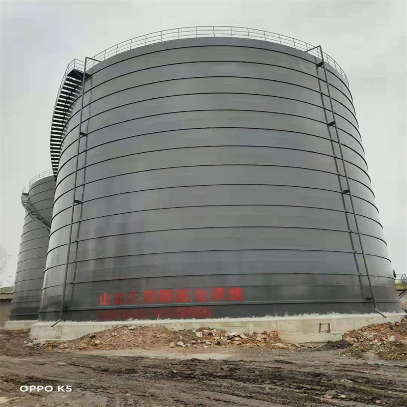 禄丰3万吨大型钢板库